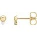 Accented Bead Earrings