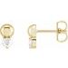 Accented Bead Earrings