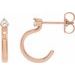 Accented Hoop Earrings
