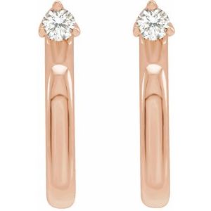 Accented Hoop Earrings