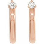 Accented Hoop Earrings