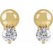 Accented Bead Earrings