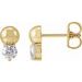 Accented Bead Earrings