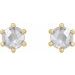 Round 6-Prong Rose-Cut Stud Earrings