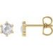 Round 6-Prong Rose-Cut Stud Earrings