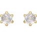 Round 6-Prong Rose-Cut Stud Earrings