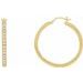 Accented Hoop Earrings