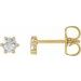 Round 6-Prong Rose-Cut Stud Earrings