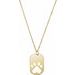 Our Cause for Paws™ Dog Tag Necklace