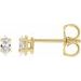 Marquise 4-Prong Lightweight Stud Earrings