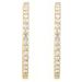 Inside-Outside Hoop Earrings