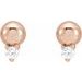 Accented Bead Earrings
