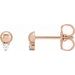Accented Bead Earrings