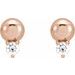 Accented Bead Earrings