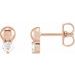 Accented Bead Earrings
