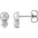 Accented Bead Earrings