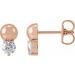Accented Bead Earrings
