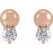 Accented Bead Earrings