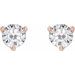 Round 3-Prong Stuller Moissanite™ Stud Earrings