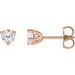 Round 3-Prong Stuller Moissanite™ Stud Earrings