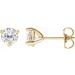 Round 3-Prong Stuller Moissanite™ Stud Earrings
