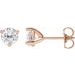 Round 3-Prong Stuller Moissanite™ Stud Earrings