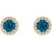 Round 4-Prong Halo-Style Earrings