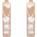 Accented Huggie Earrings
