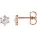 Round 6-Prong Rose-Cut Stud Earrings