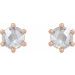 Round 6-Prong Rose-Cut Stud Earrings
