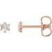 Round 6-Prong Rose-Cut Stud Earrings