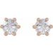 Round 6-Prong Rose-Cut Stud Earrings