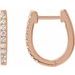 Accented U-Hoop Earrings