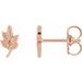 Leaf Earrings
