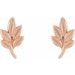 Leaf Earrings