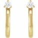 Accented Hoop Earrings