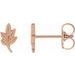 Leaf Earrings