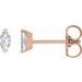 Solitaire V-Prong Stud Earrings