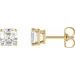 Asscher 4-Prong Stud Earrings