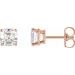 Asscher 4-Prong Stud Earrings
