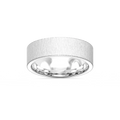 Aspen 6.00mm Flat Plain Metal Band