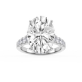 Hayley 10 ⁷⁄₈ ctw Oval LGD Pave Hidden Halo Engagement Ring - Signature Collection - 14K White Gold